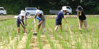 草取り その２