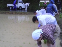 画像の説明