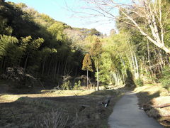 画像の説明